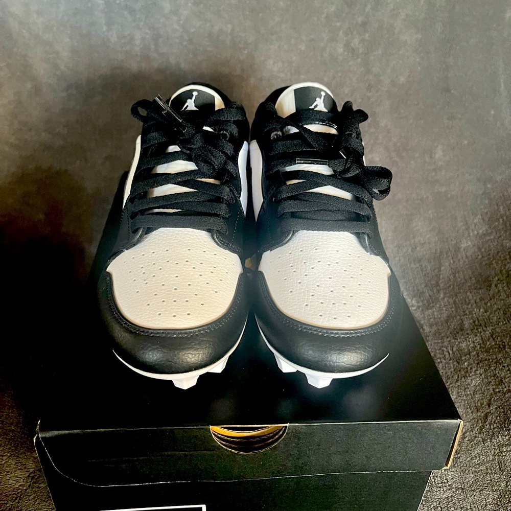 Jordan 1 Low TD